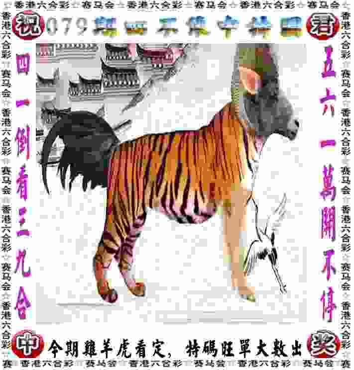 上海5月举办四项新兴运动奥运资格赛